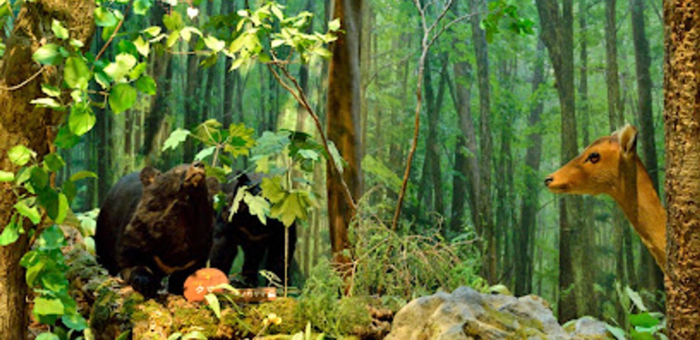 Background
