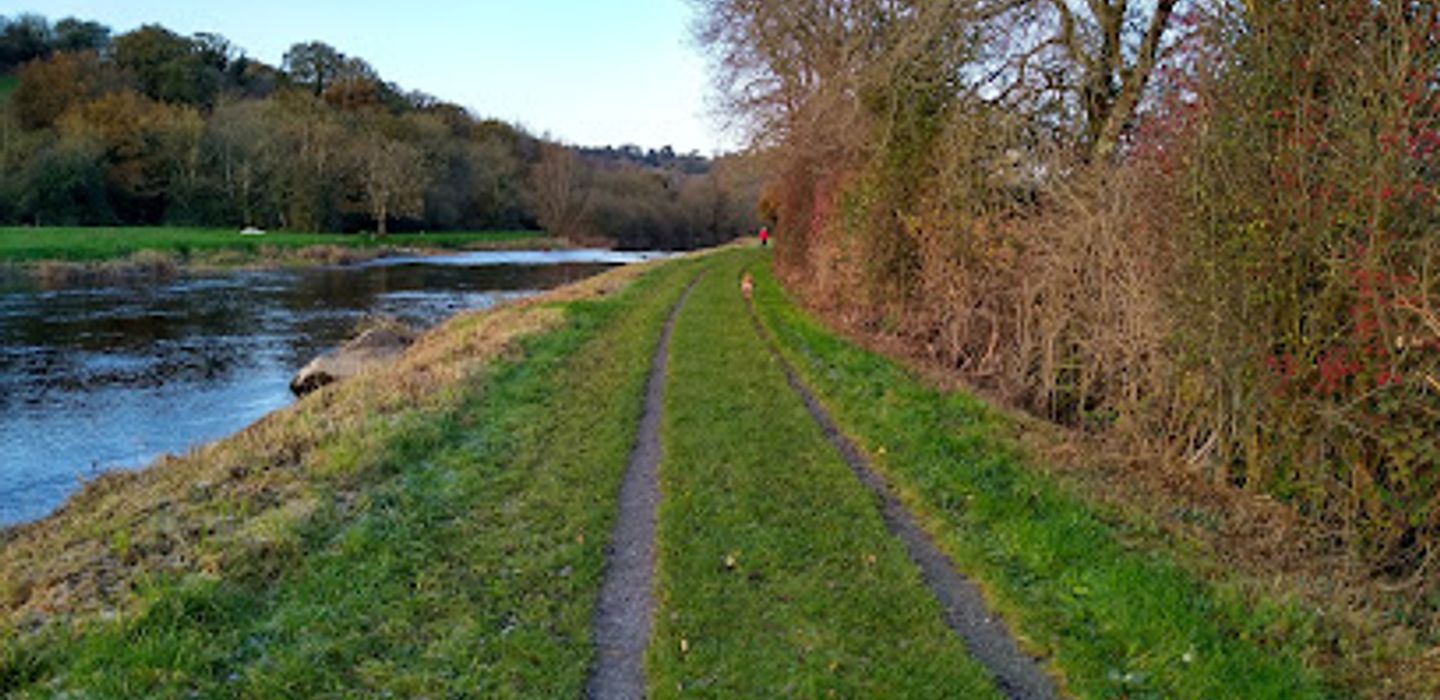 Background