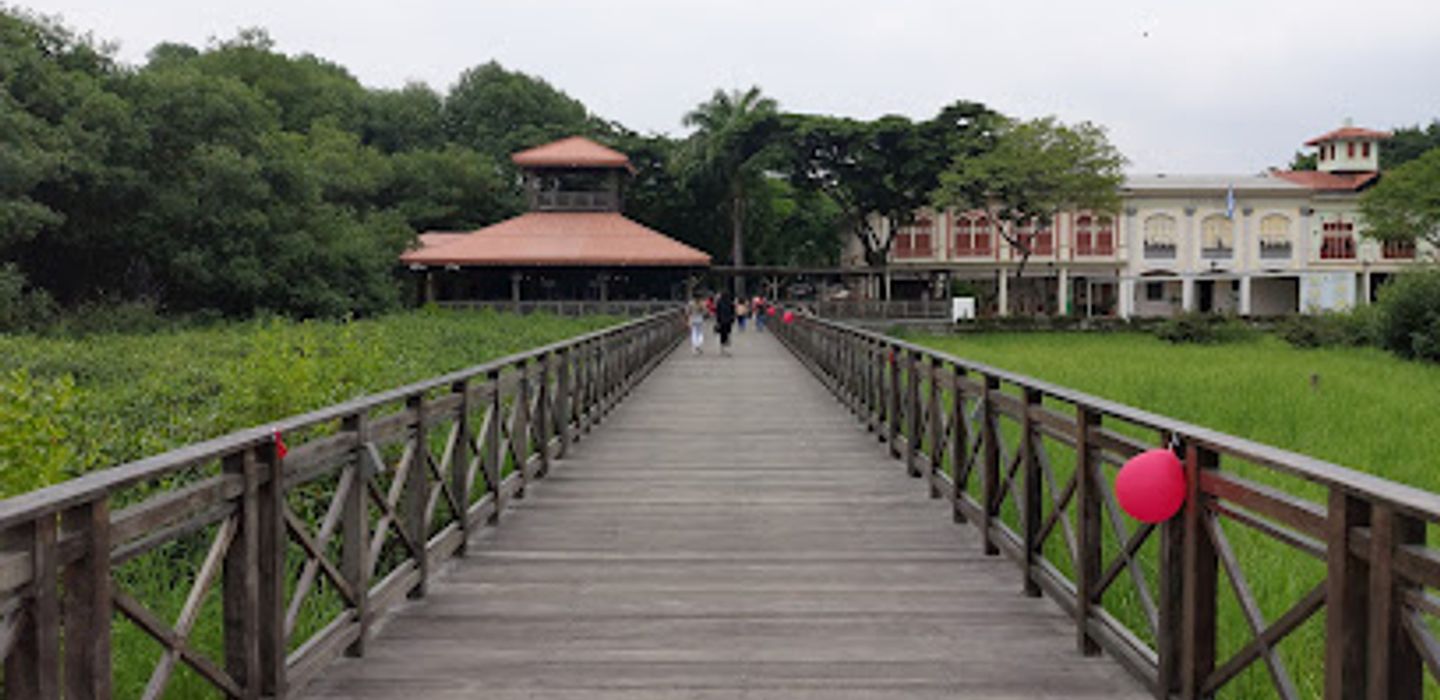 Background