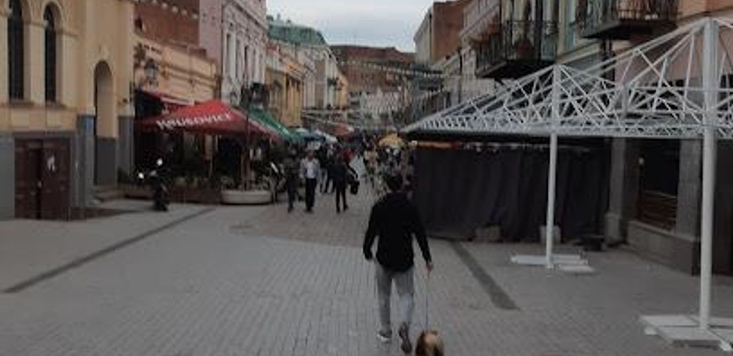Davit Aghmashenebeli Ave