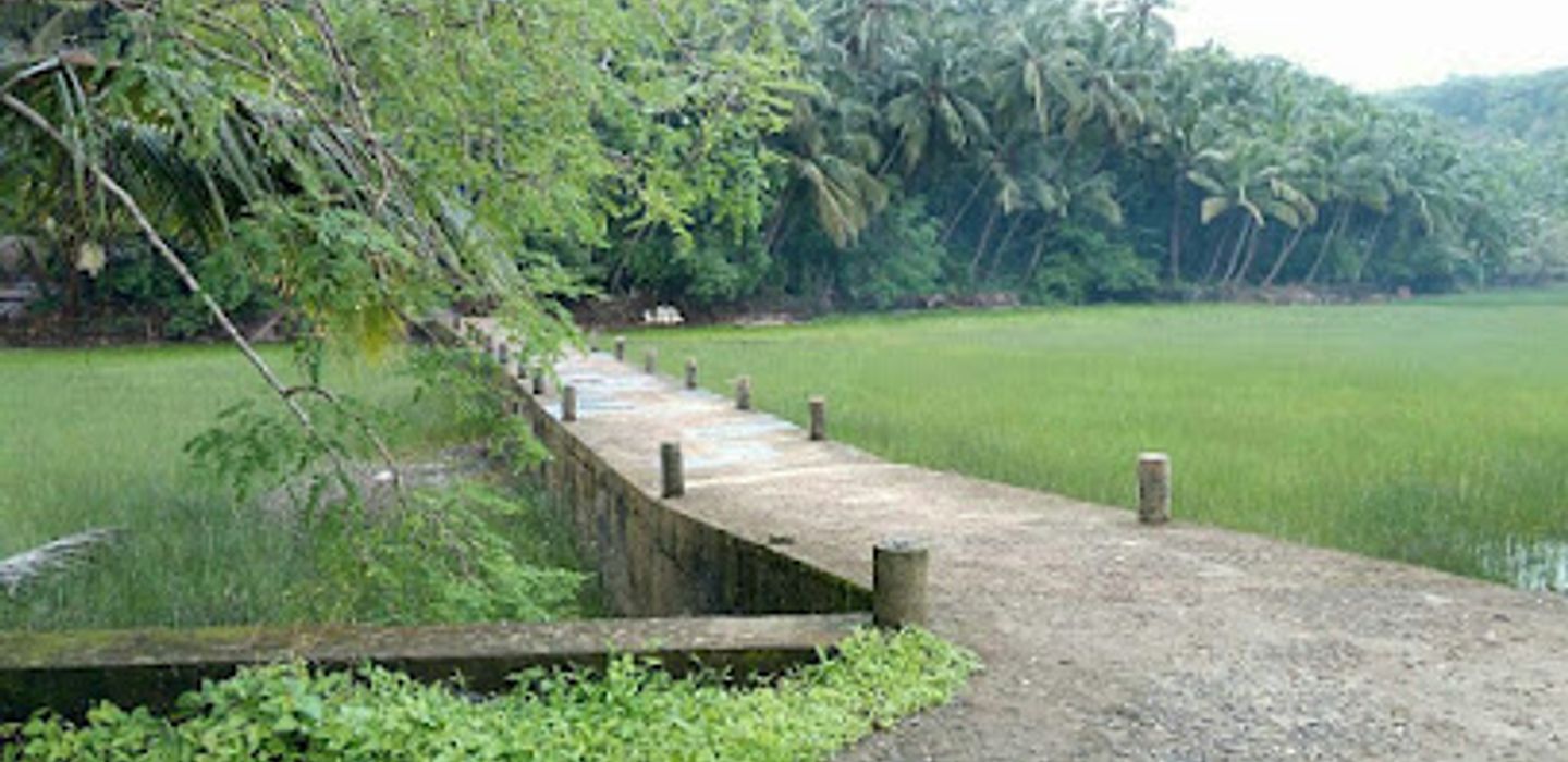 Background
