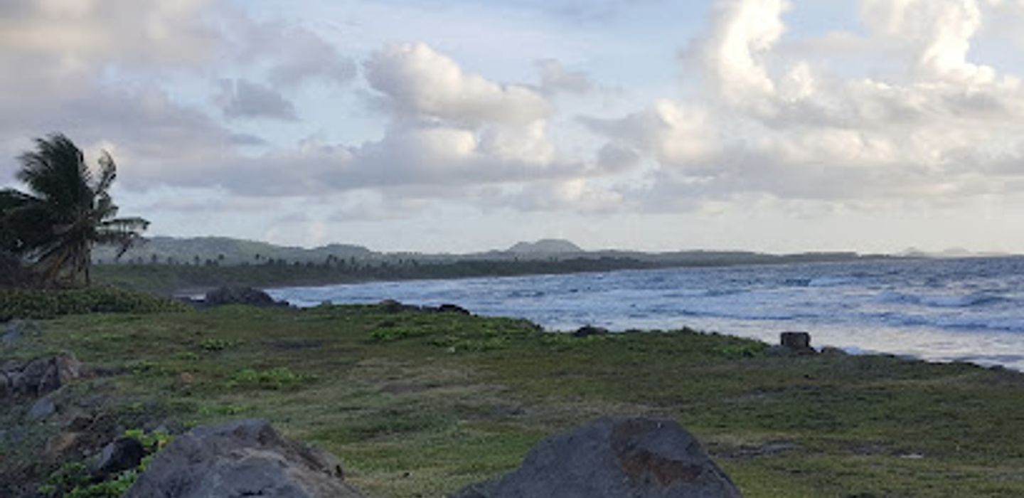 Background