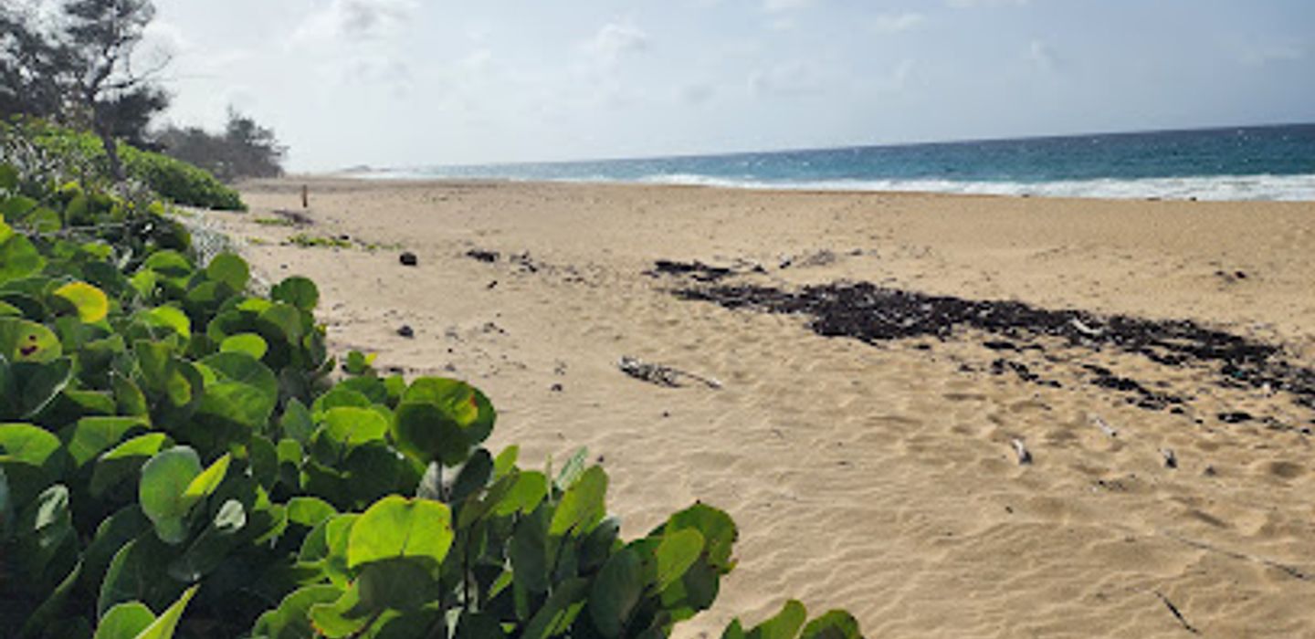 Shore Island Beach