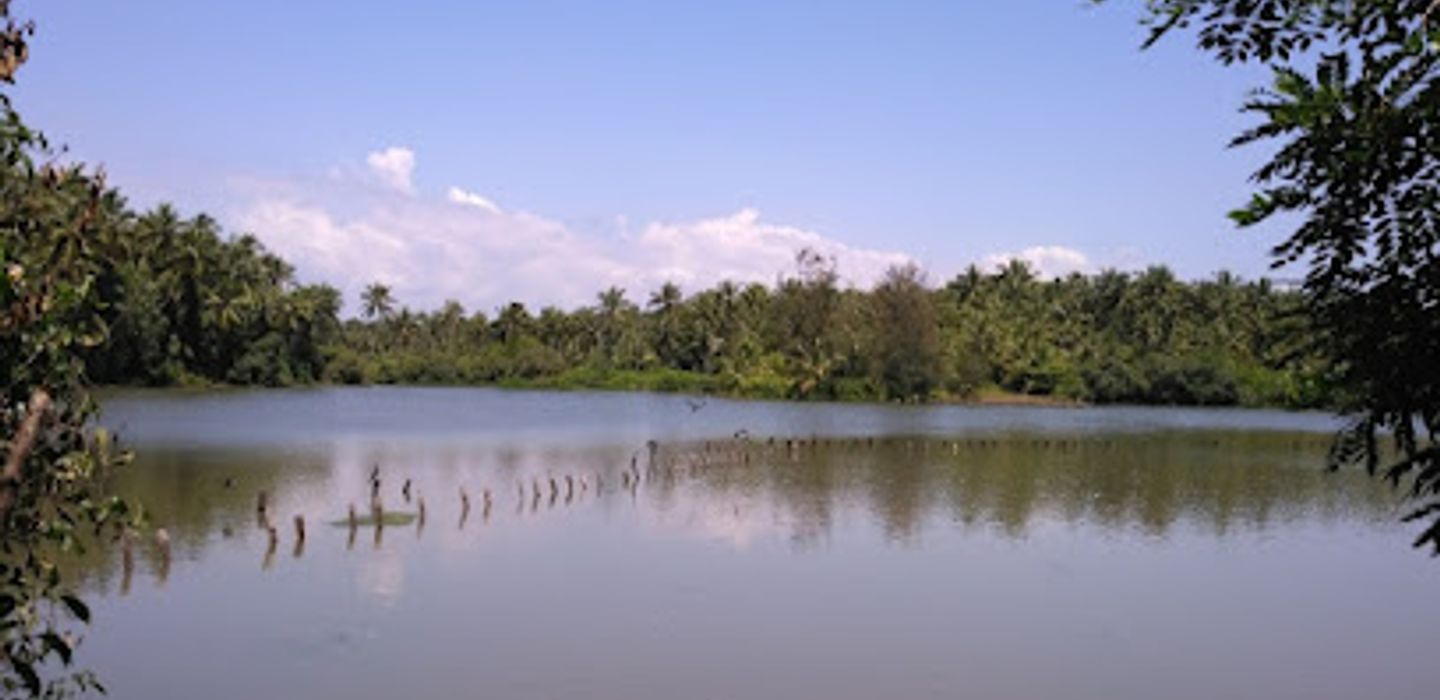 Background