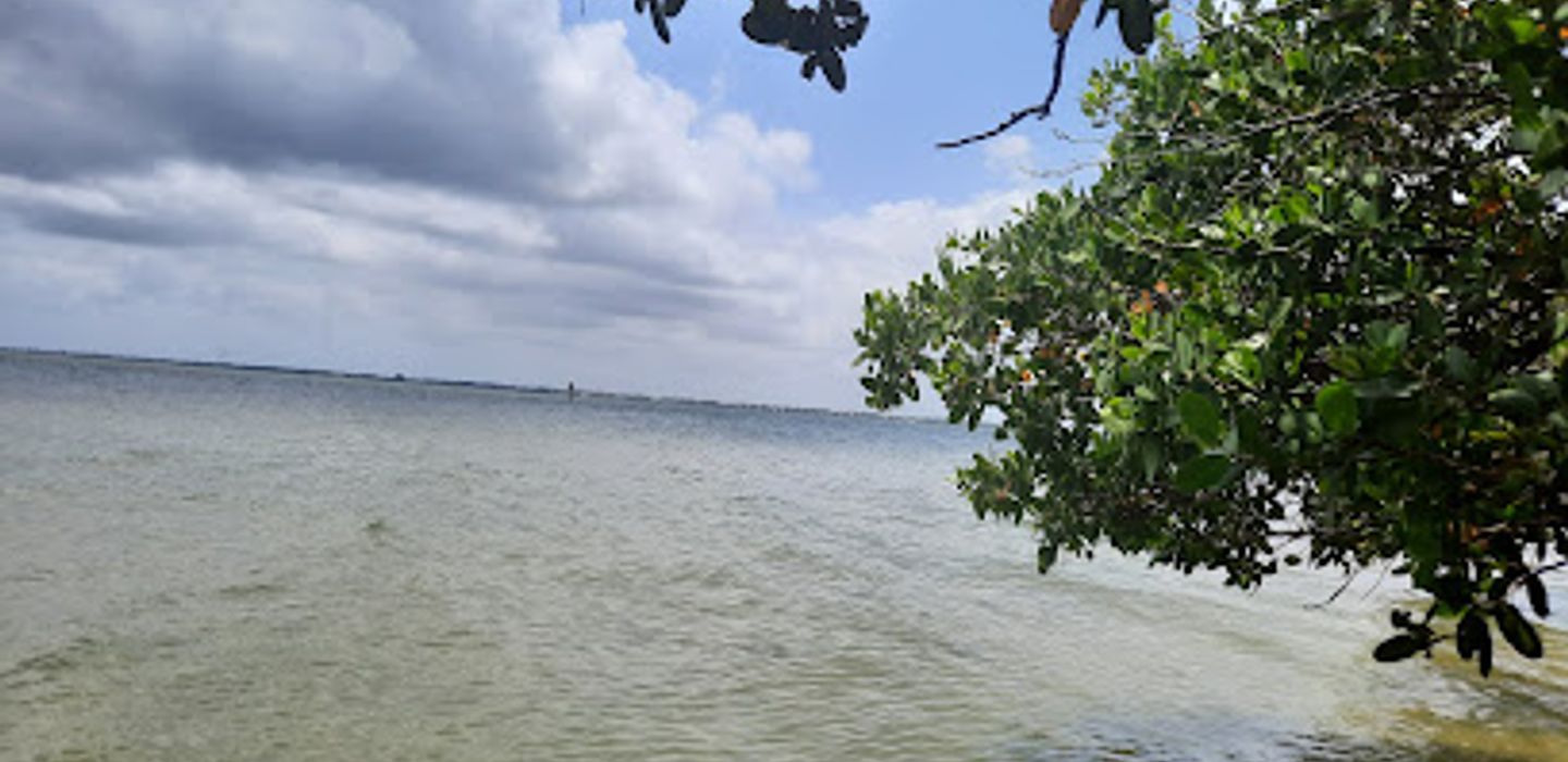 Background
