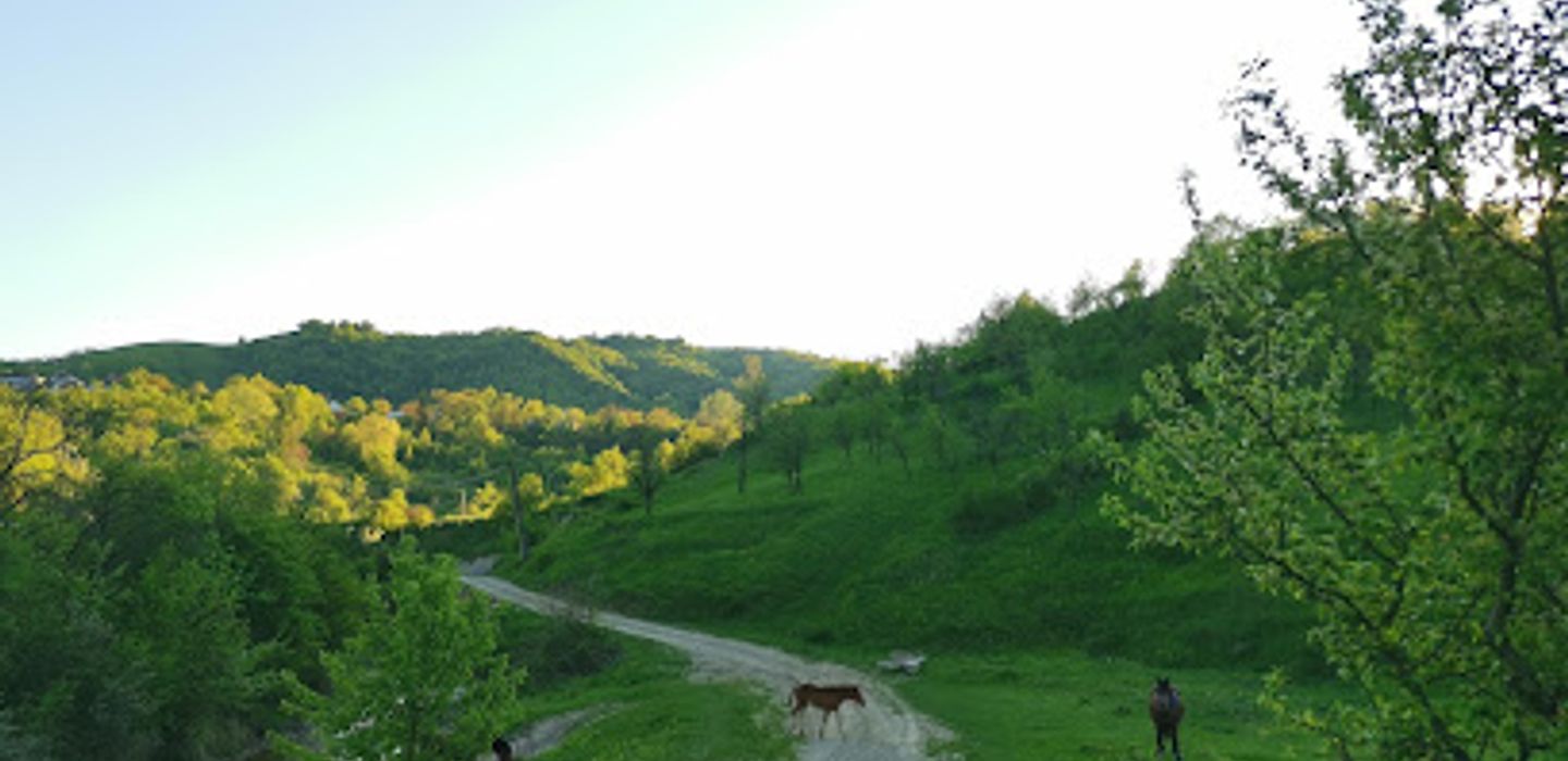 Background