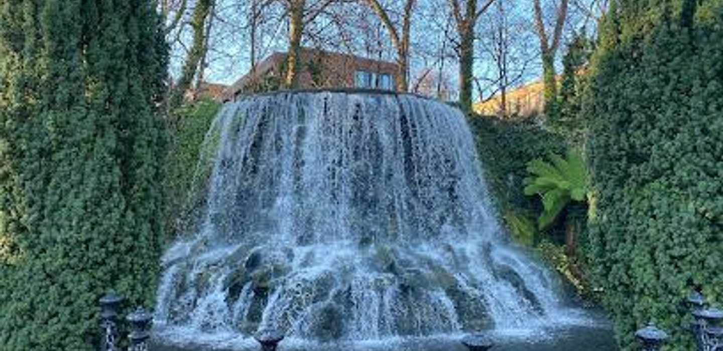 Iveagh Gardens