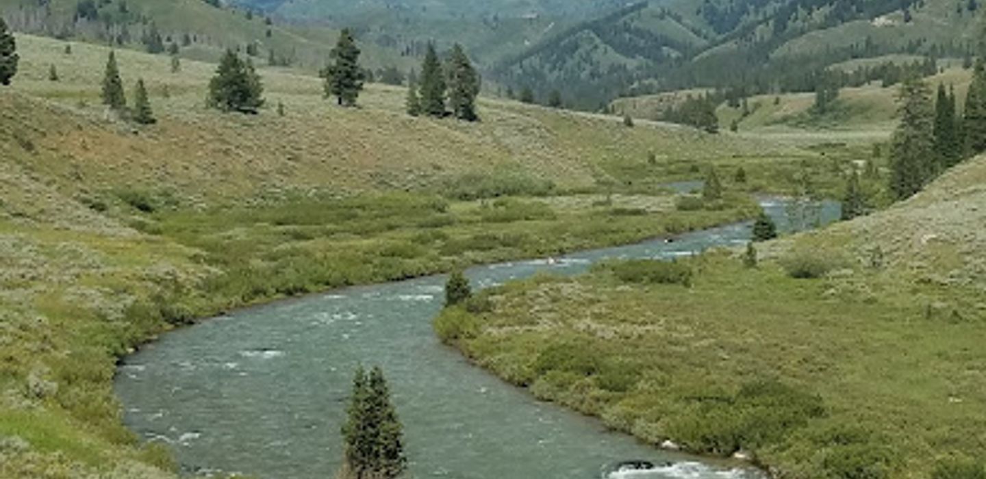 Background