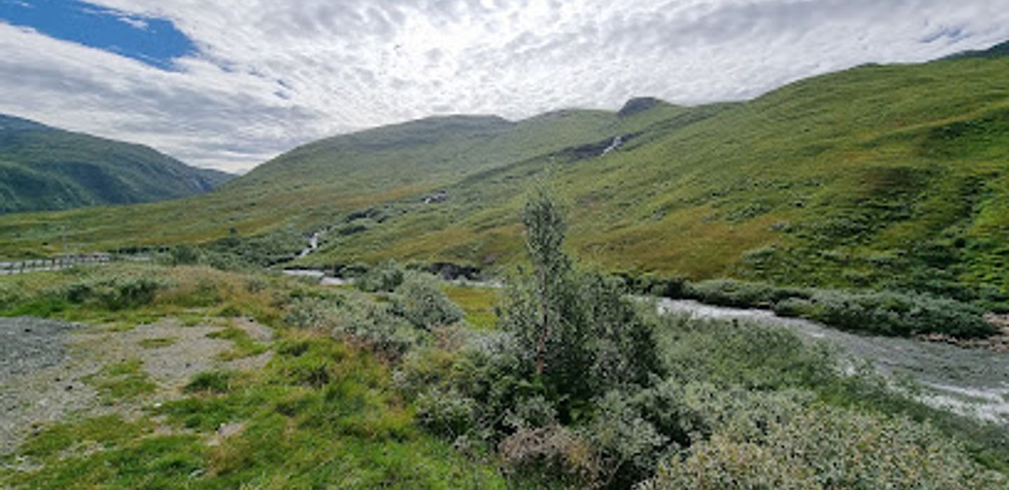 Background