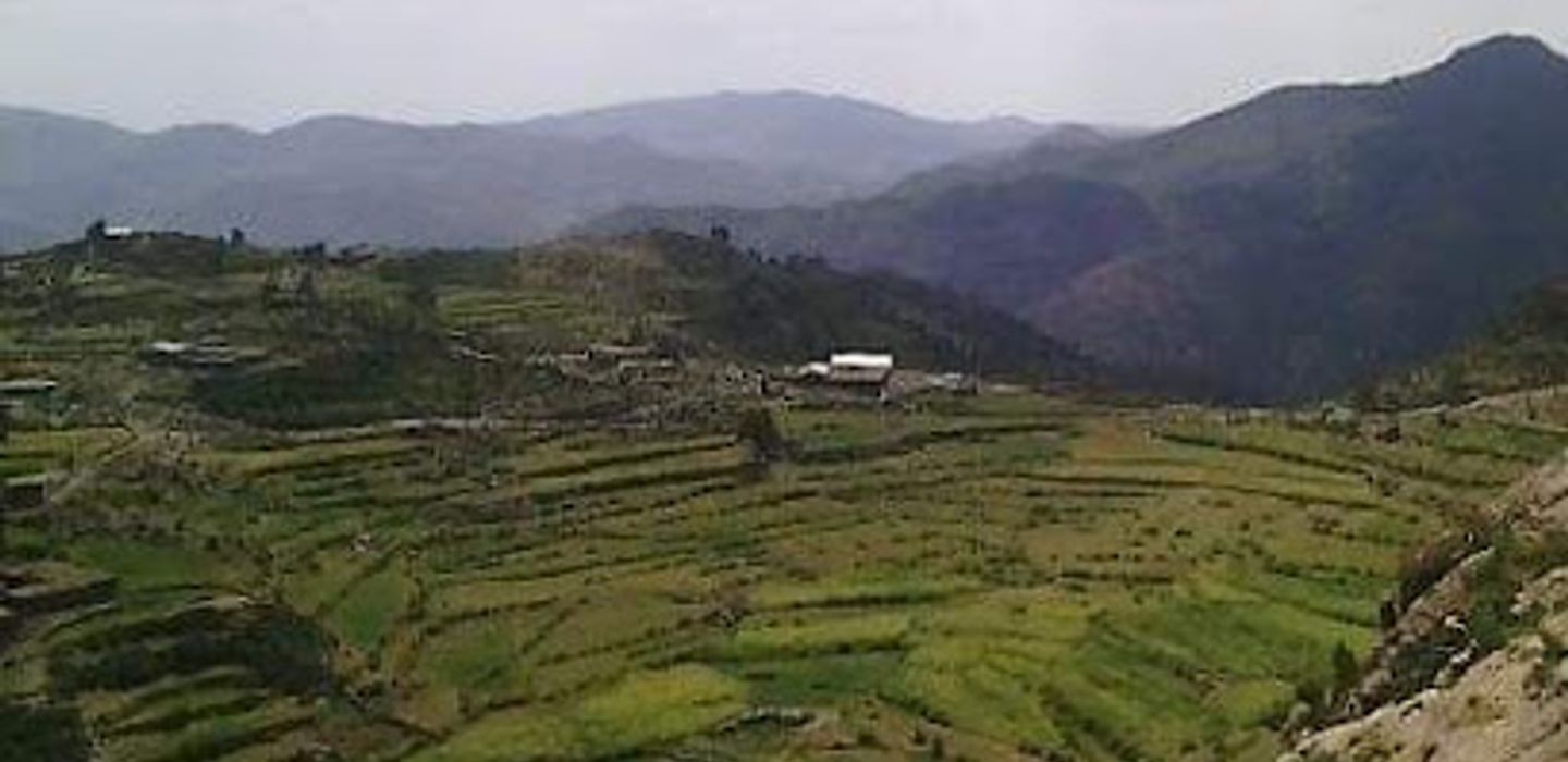 Background