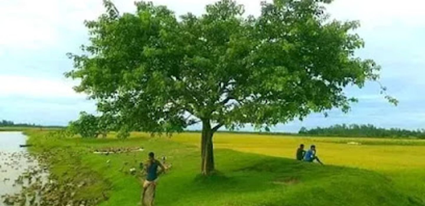 Background