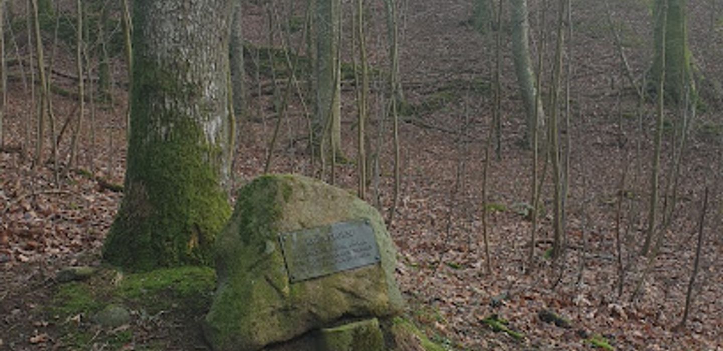 Kongeegen