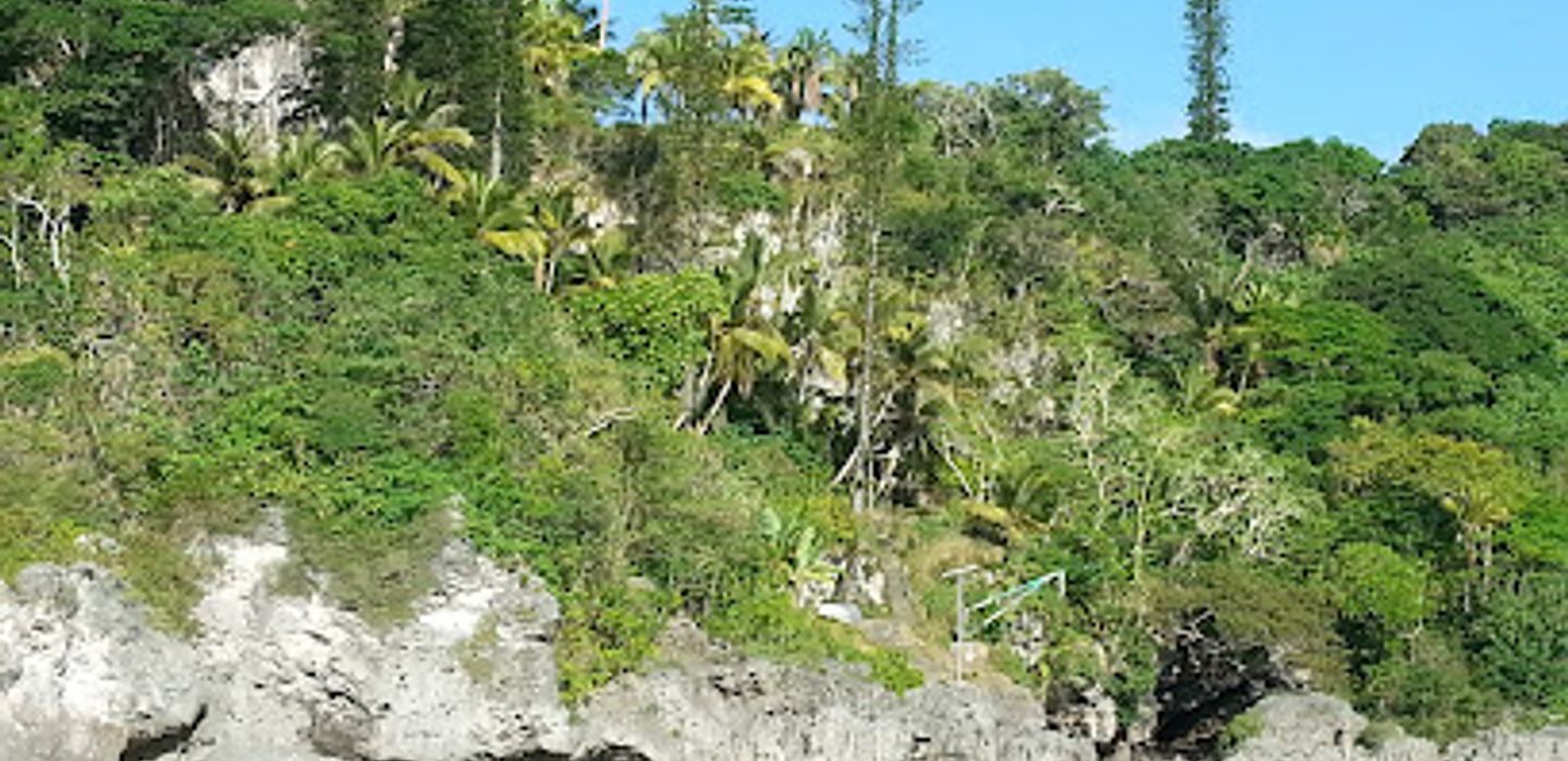 Background
