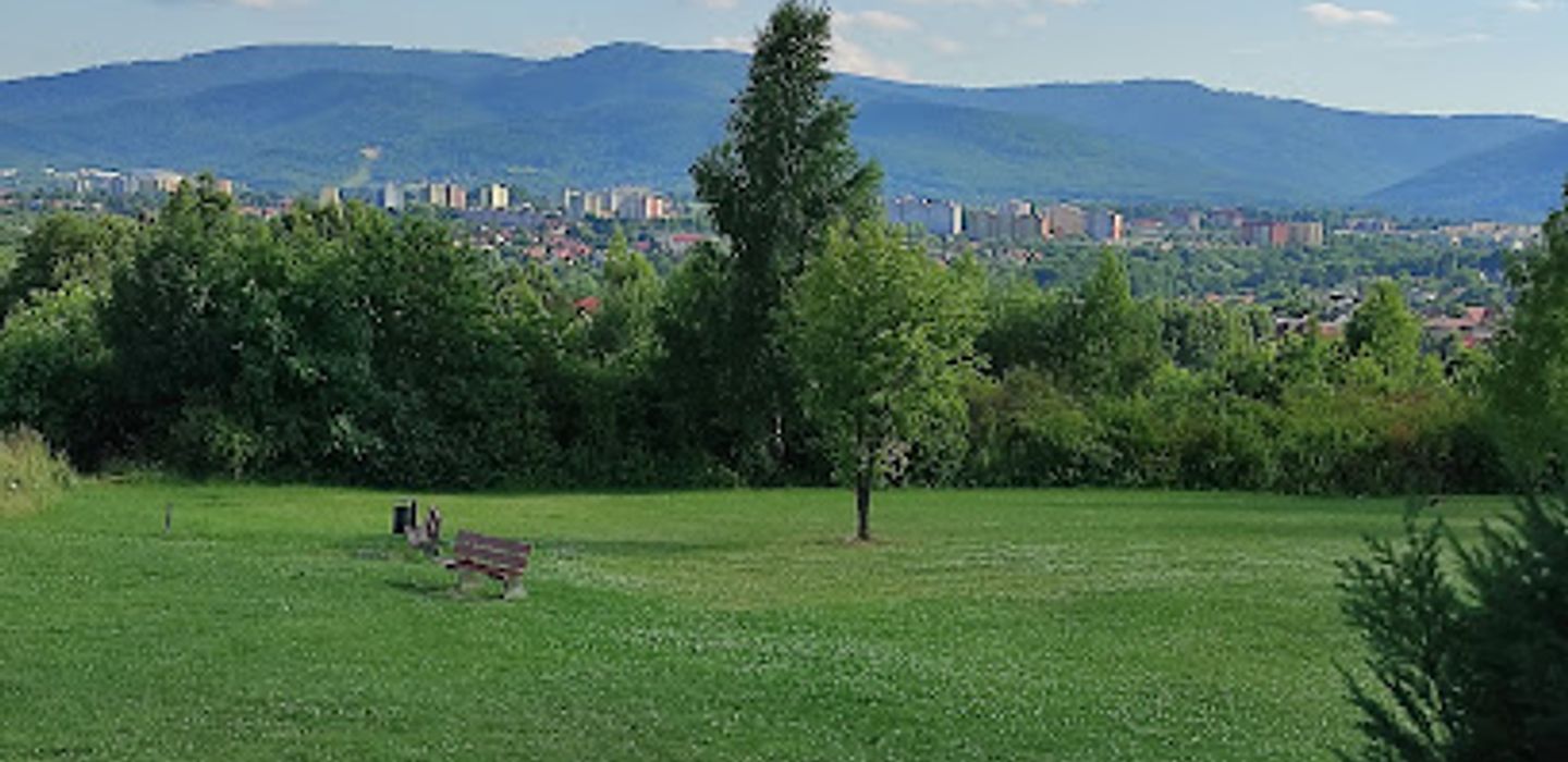 Background