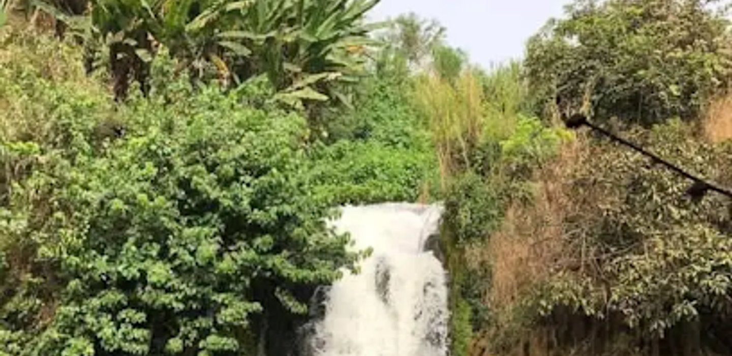 Nkongsamba