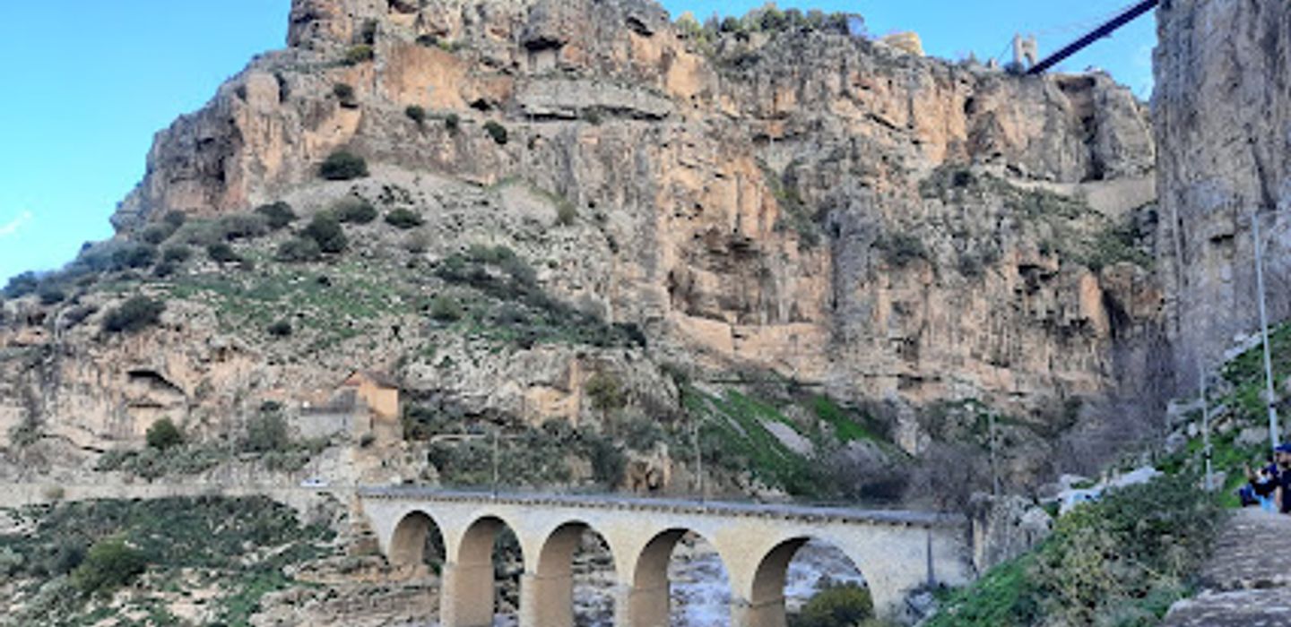 The Falls Bridge