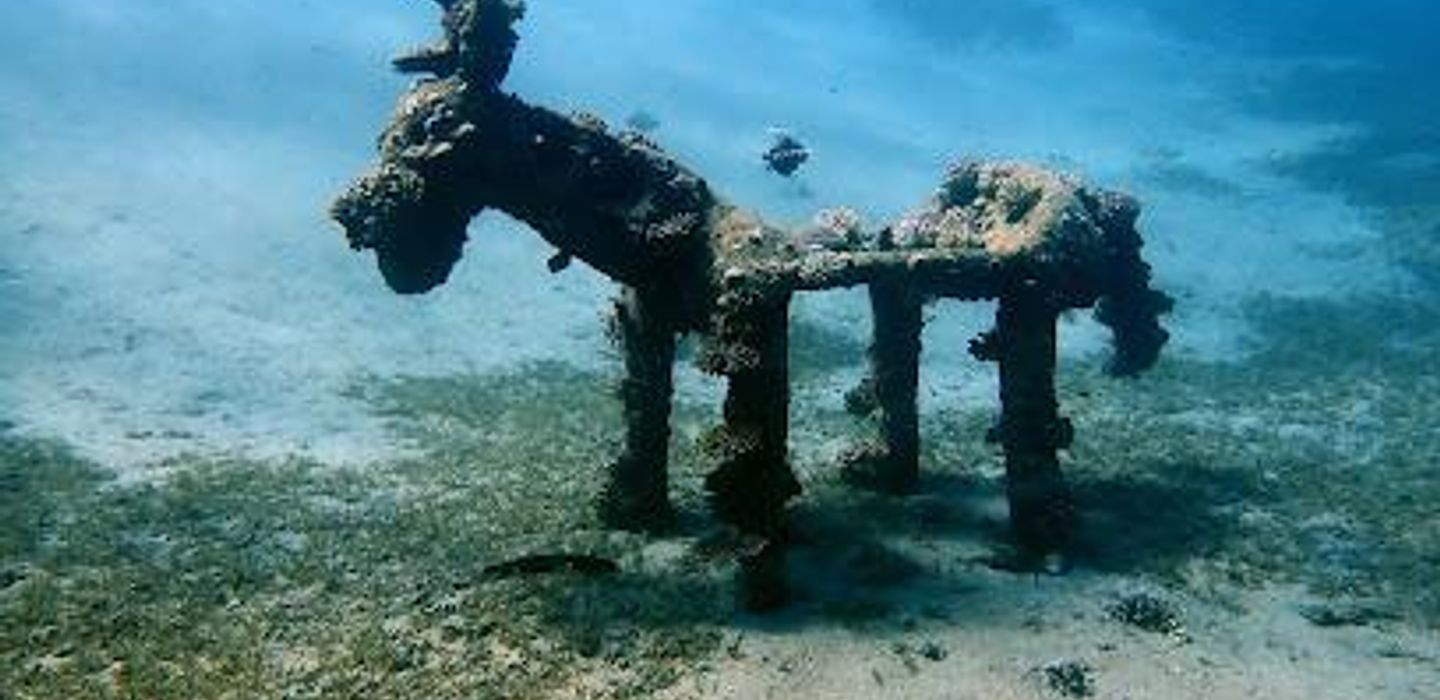 Mashraba dive site