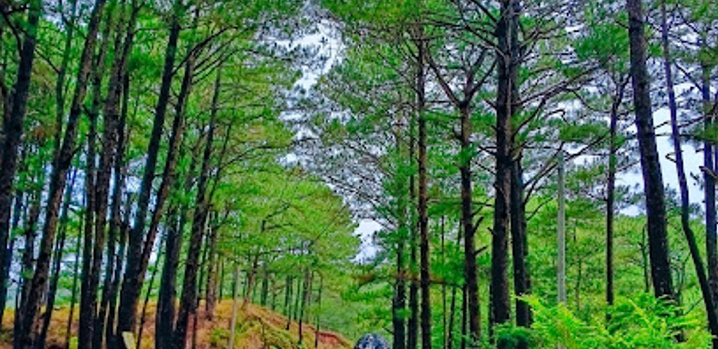Background