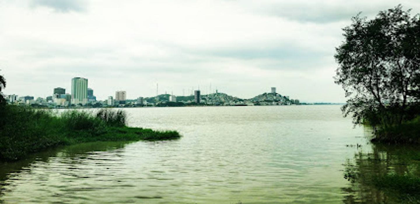 Background