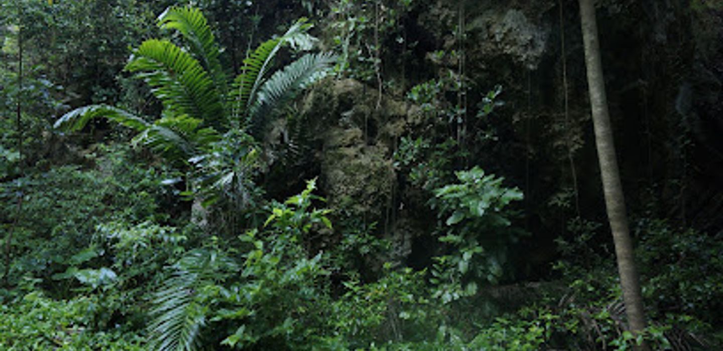 Background