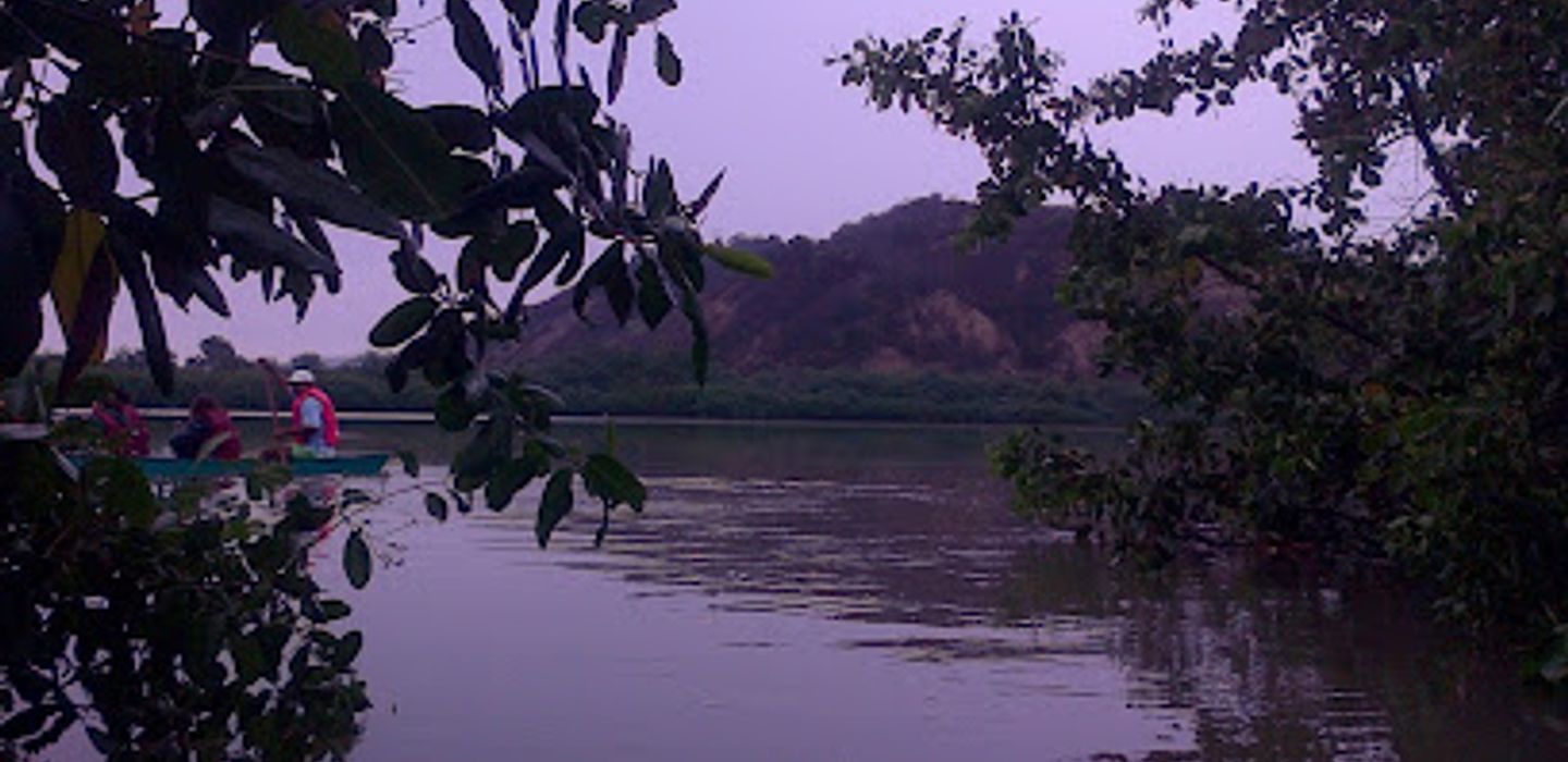 Background