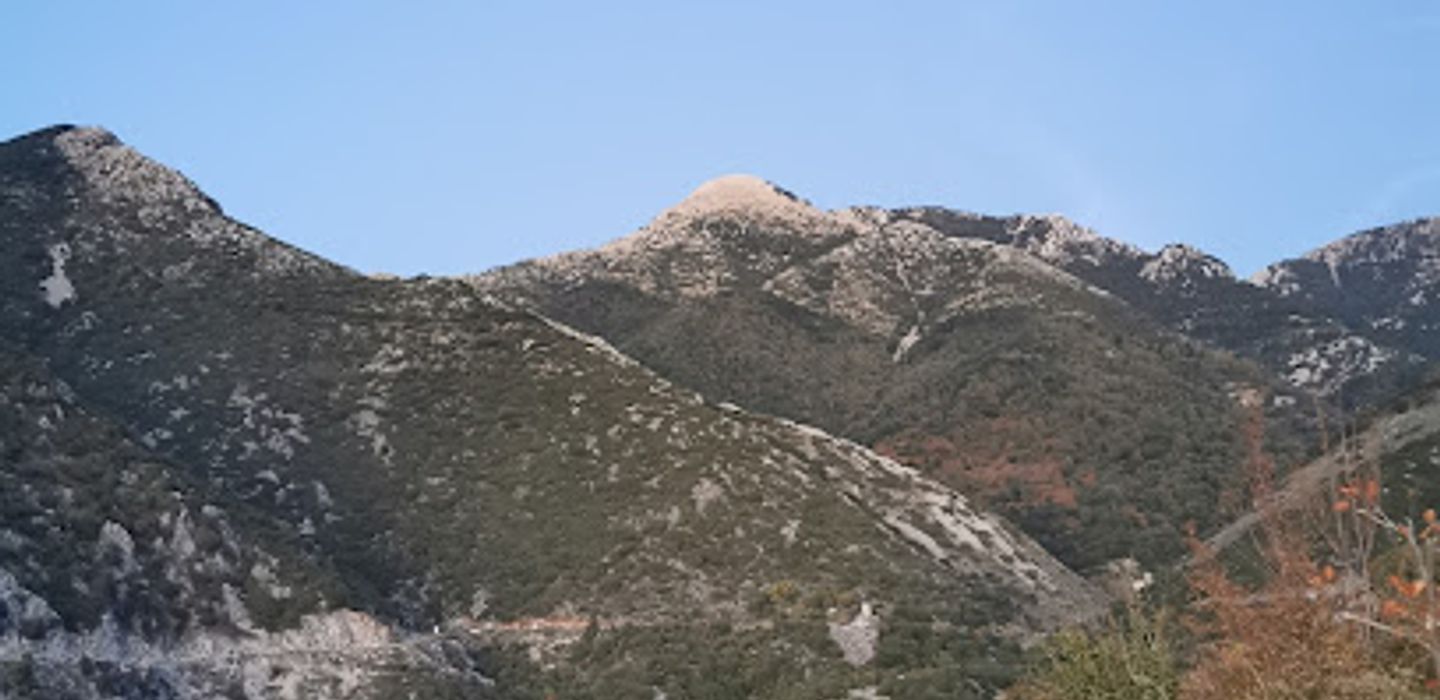 View point