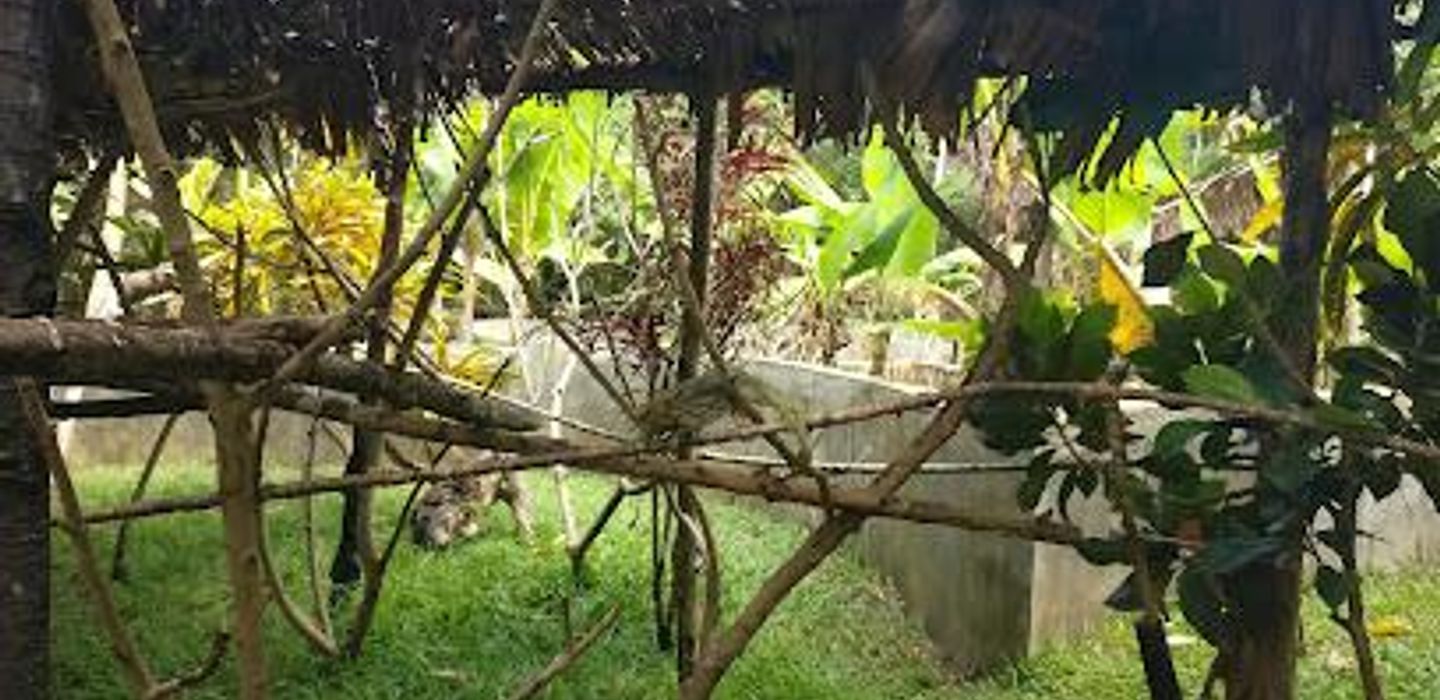 Lemuria Land