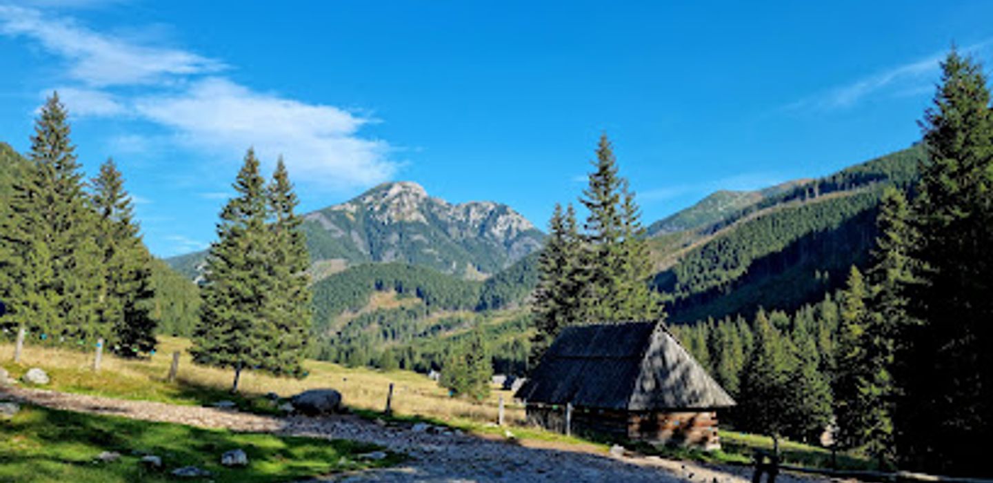 Background