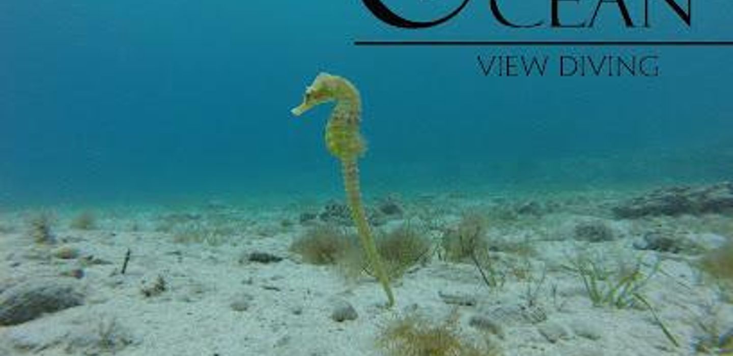 Ocean View Diving,Cyprus