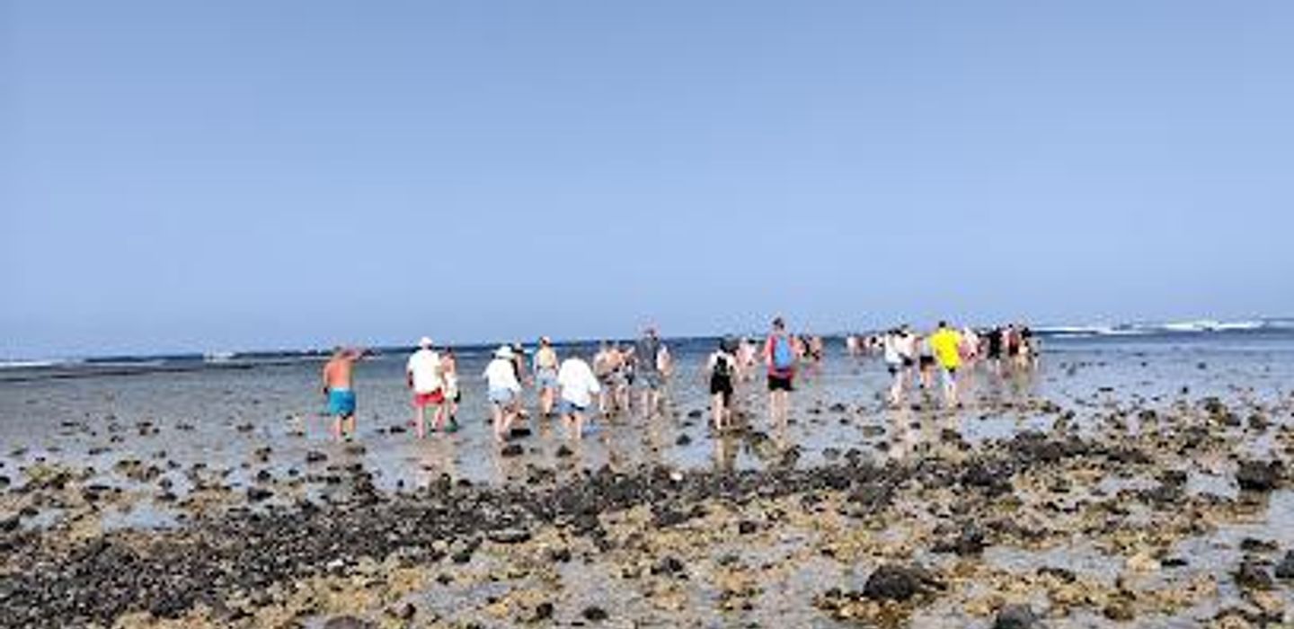 Shark Bay