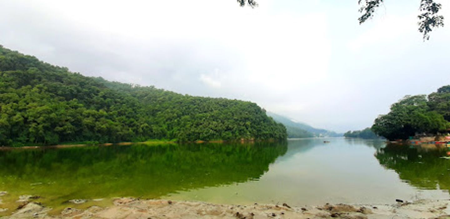 Background
