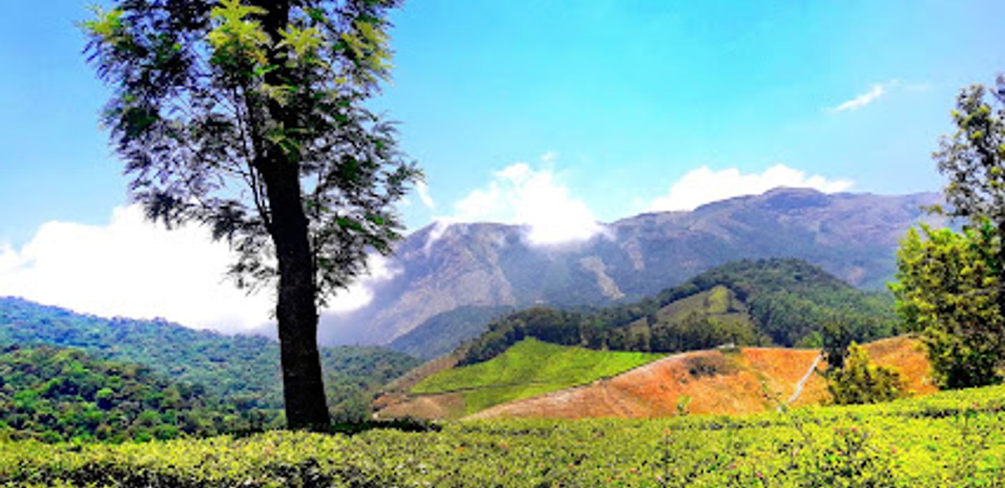 Background