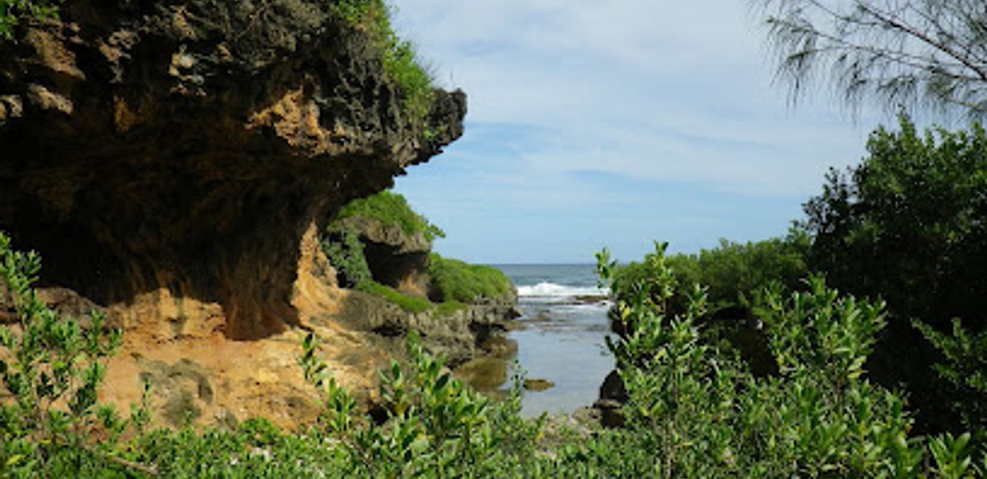 Background