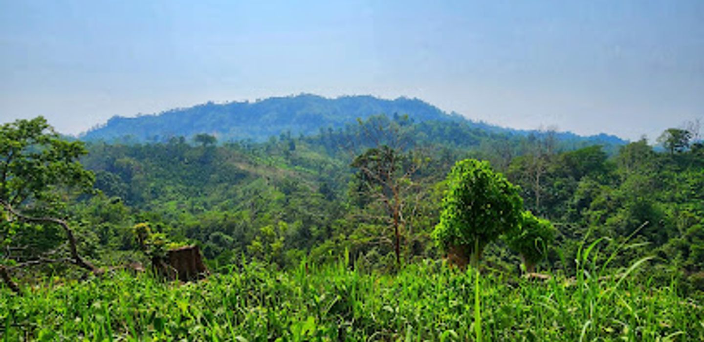 Background