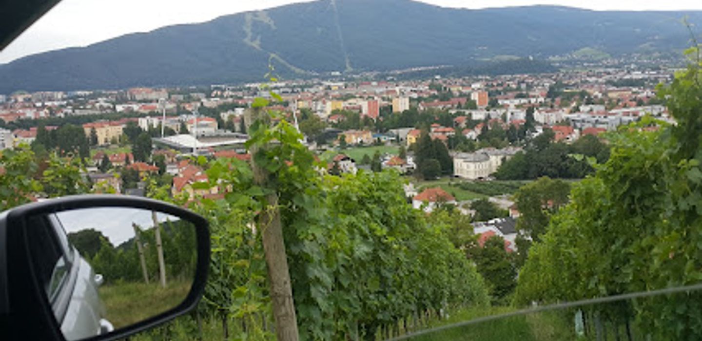 Mestni vrh