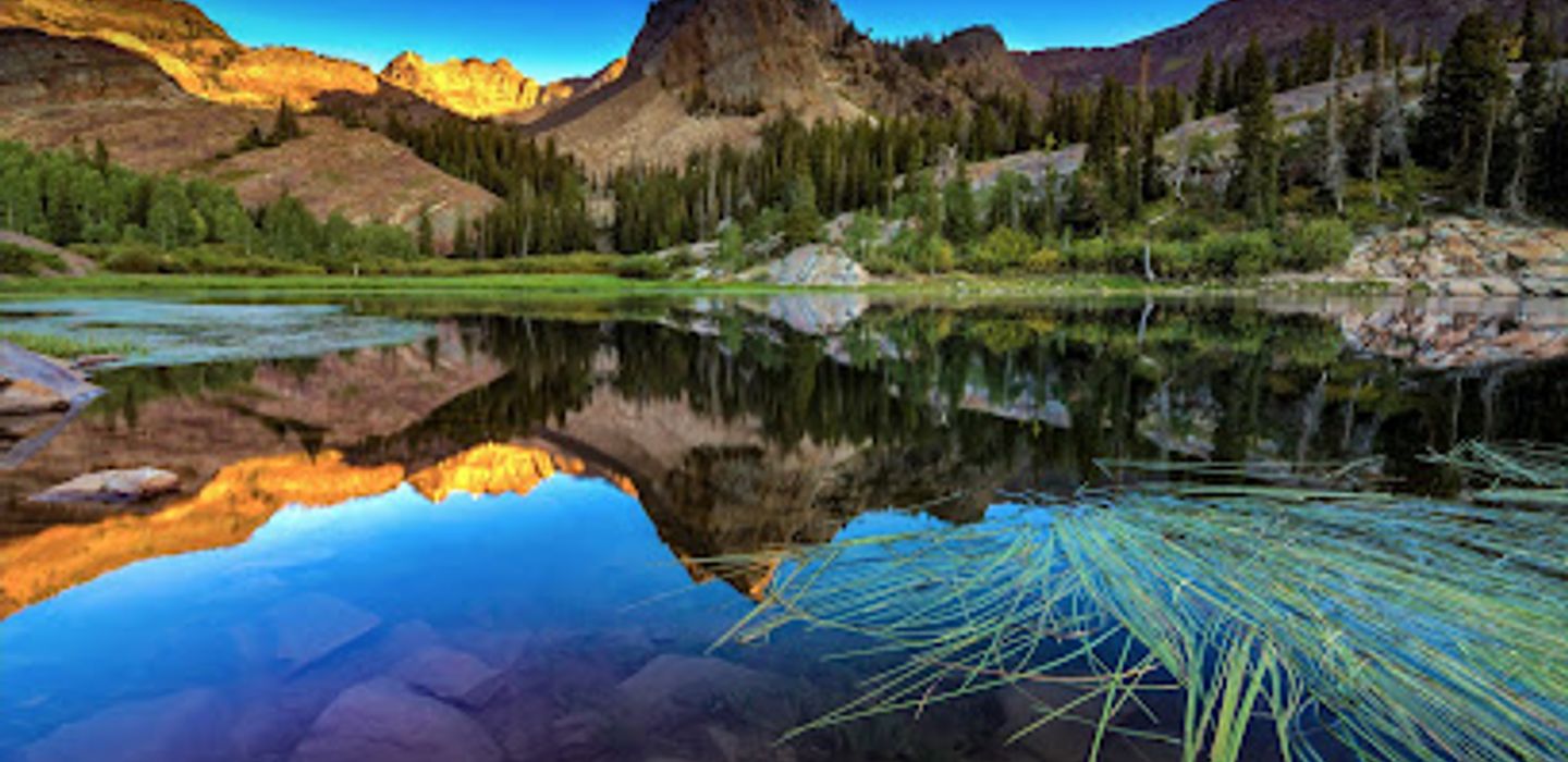 Background