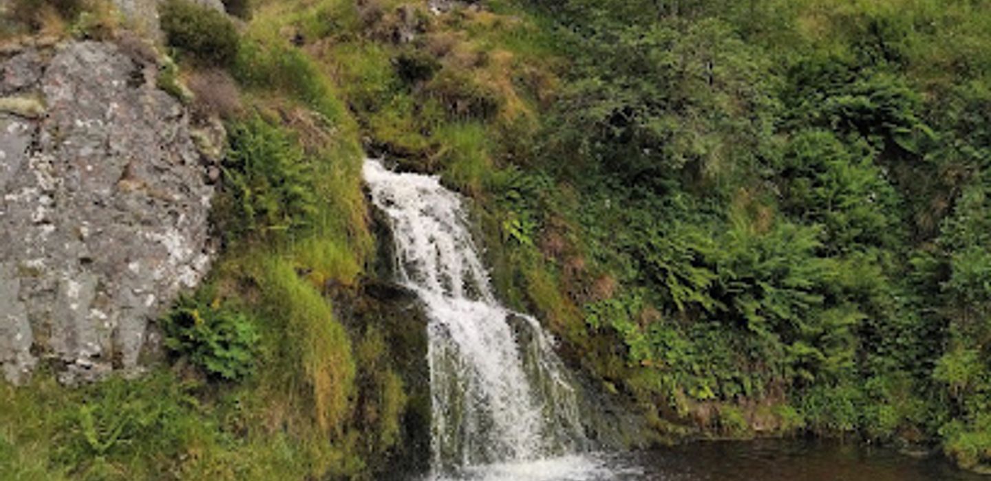 Davidson's Linn