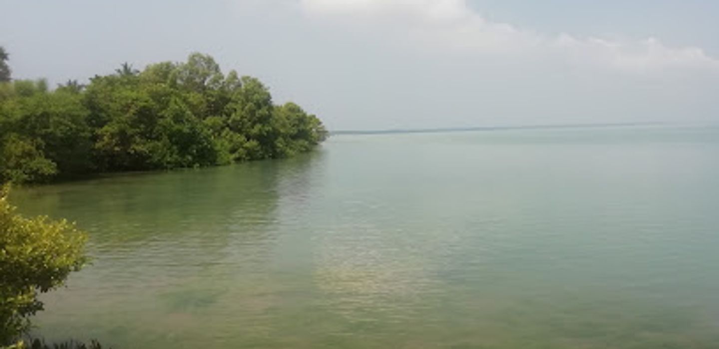 Background