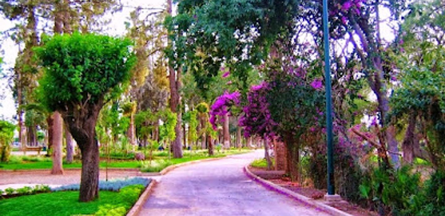 Background