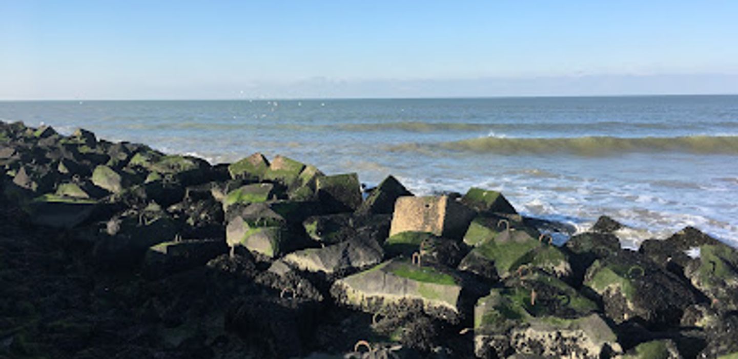 Background