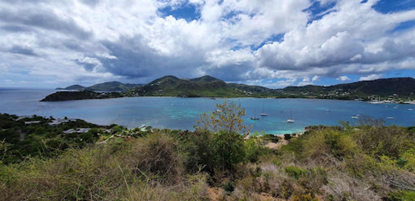 Background