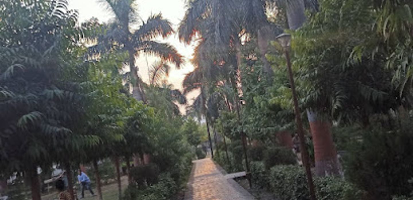 Background