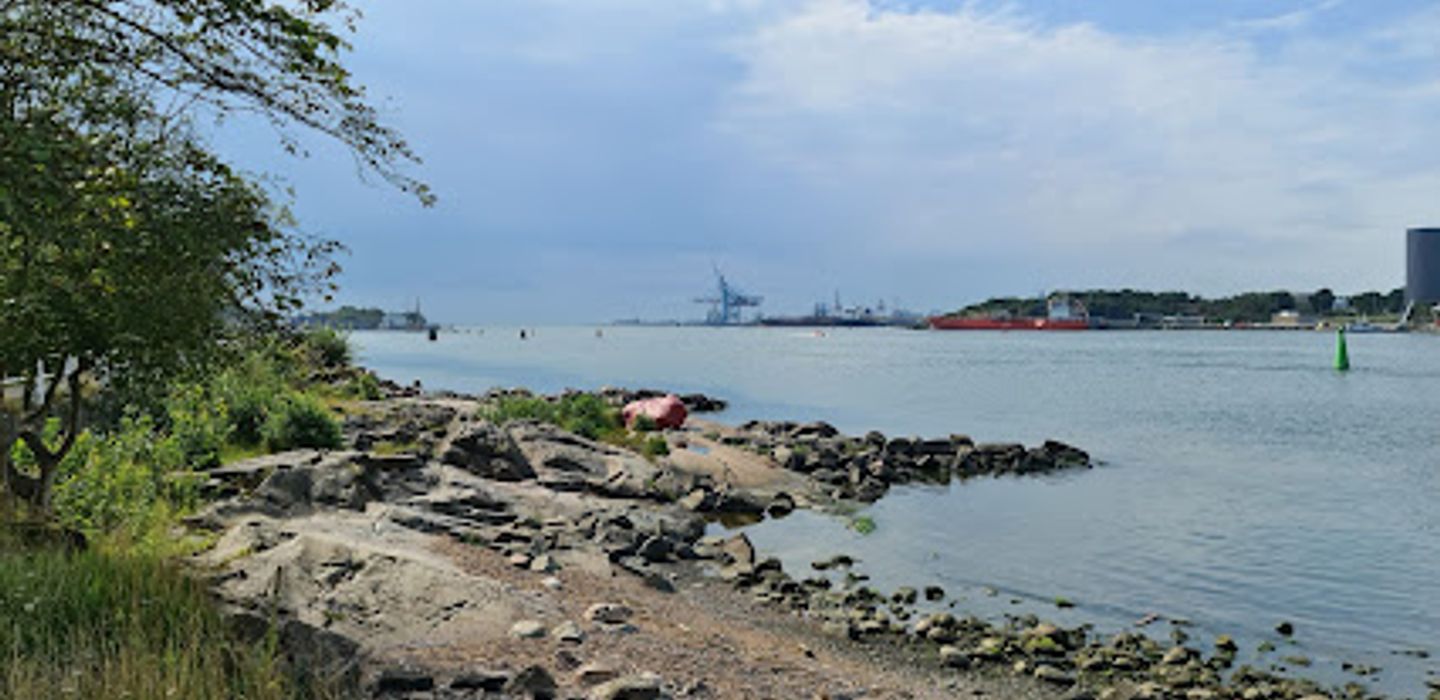 Background