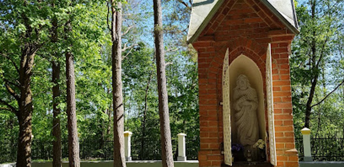 Krokulė Spring