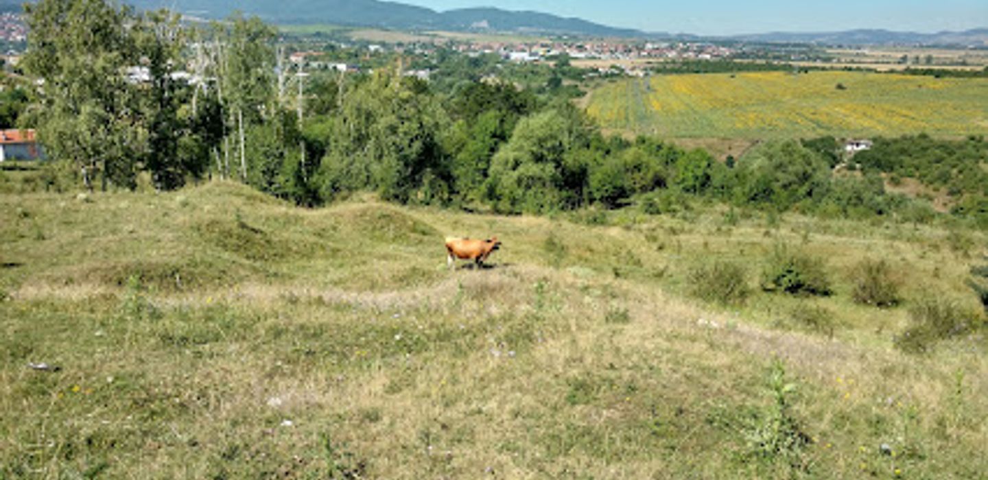 Background
