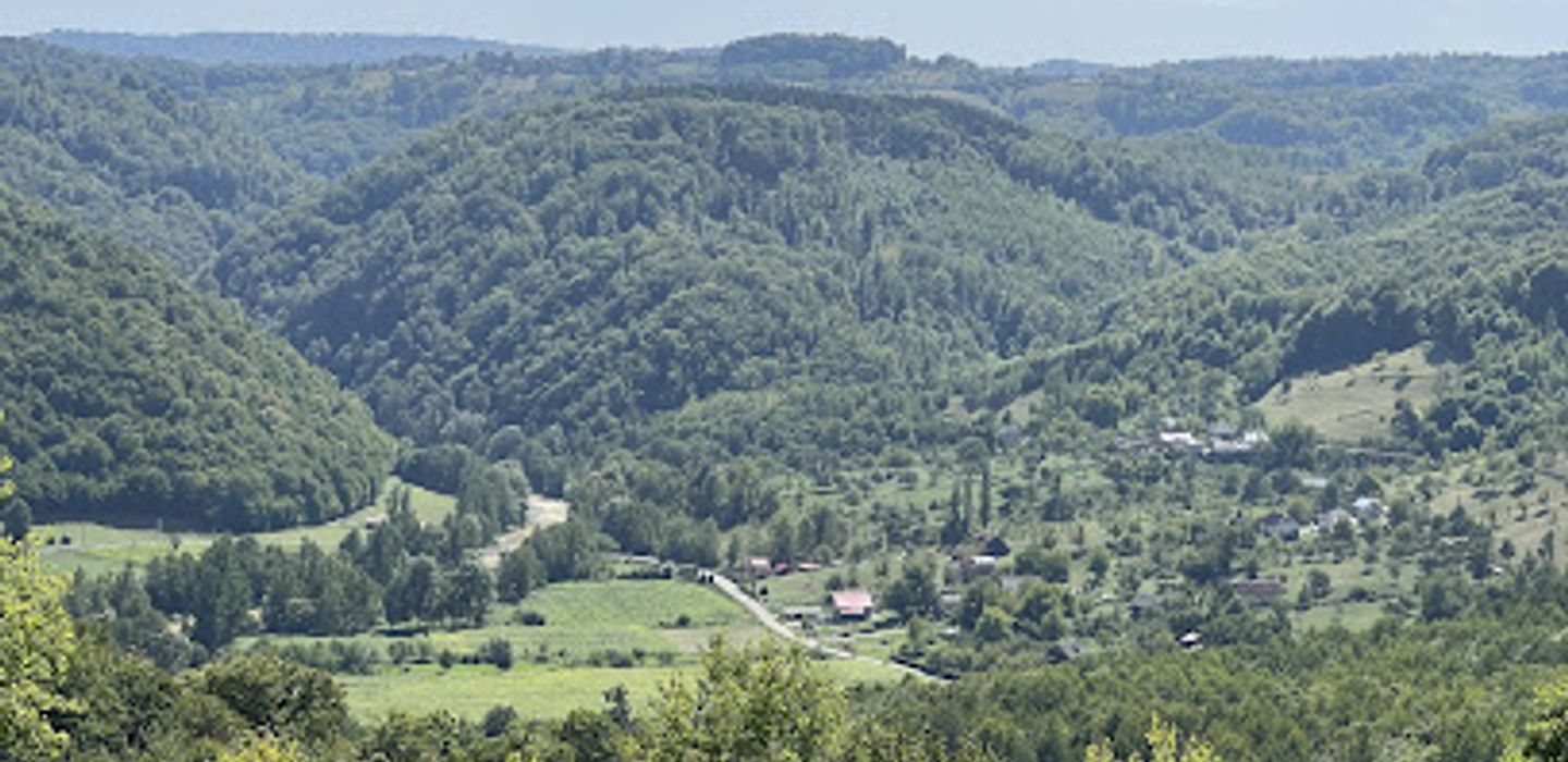 Cetatea Chioarului