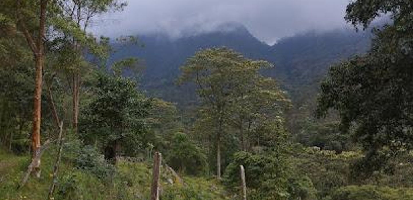 Los Tunos Natural Park