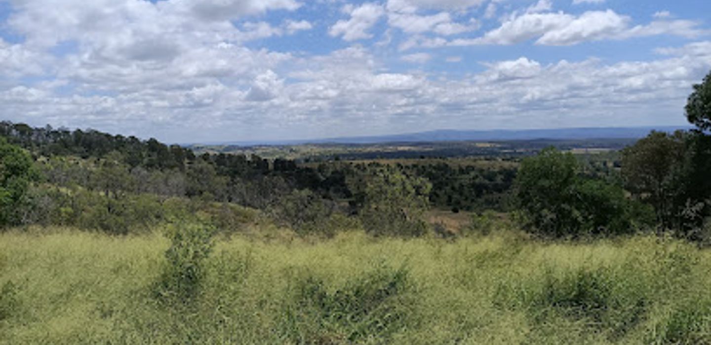 Schultz Lookout