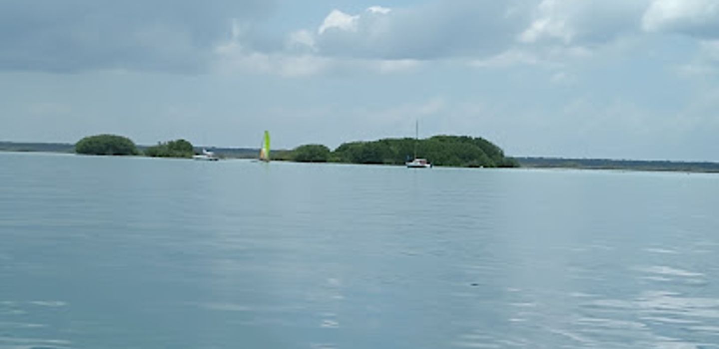 Background
