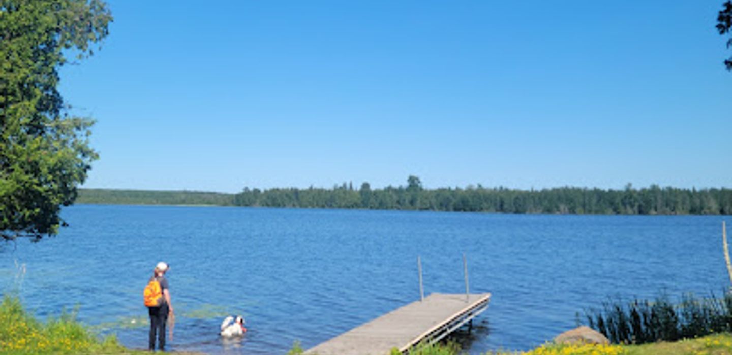 Background